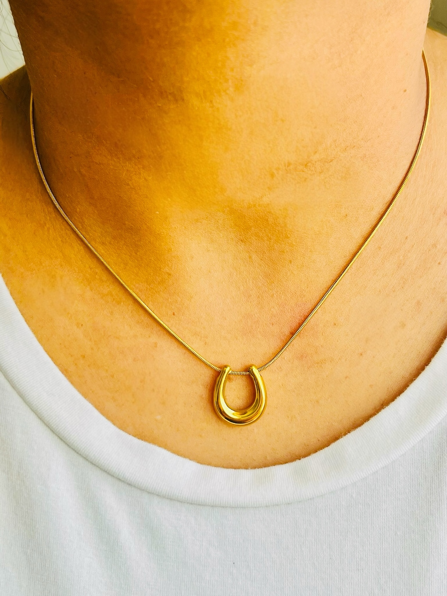 Aurea Luck Necklace