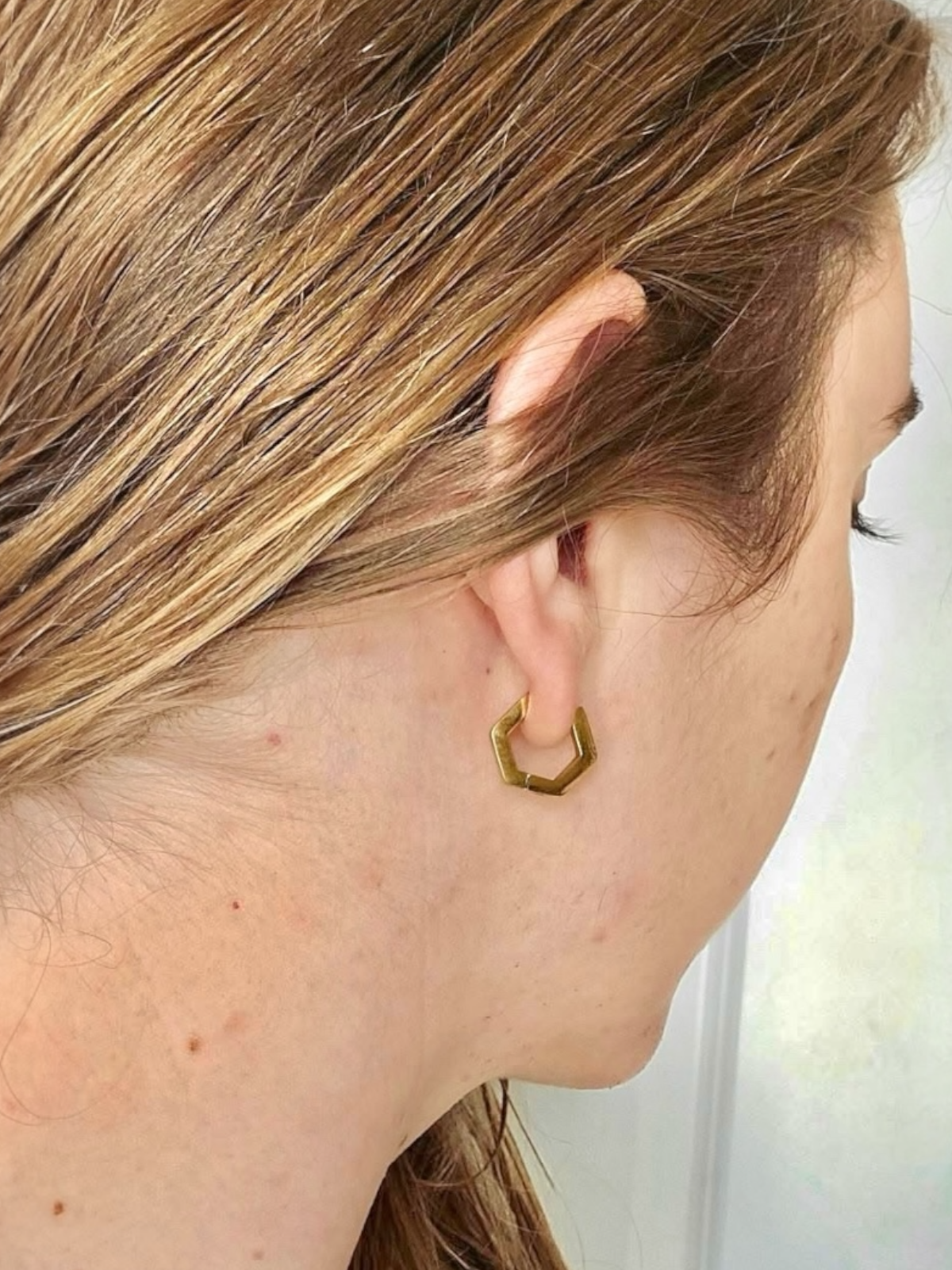 Monarch Hex Earrings
